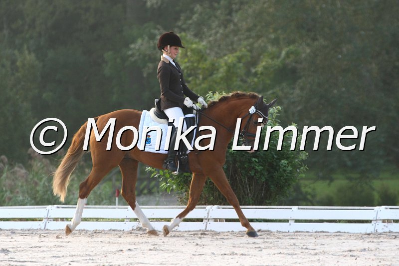 109M5776_Zintas Visconti_Dressur L_Mannschaft.JPG